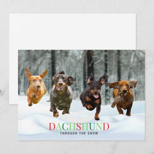 Dachshund door de Sneeuw 4 rennende Honden Grappig Feestdagenkaart (Voorkant / Achterkant)