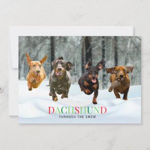 Dachshund Door de Sneeuw 4 rennende Honden Grappig Feestdagenkaart