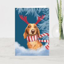 Dachshund door de sneeuw