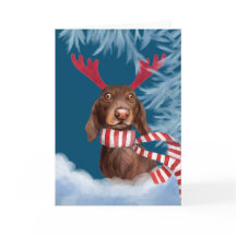 Dachshund door de sneeuw