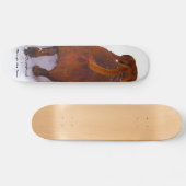 Dachshund door sneeuw door de sneeuw skateboard (Horizontaal)