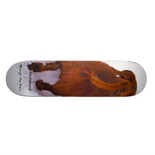 Dachshund door sneeuw door de sneeuw skateboard