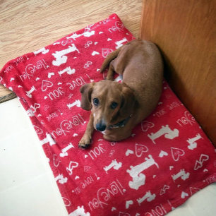 Dachshund Doxie Ik hou van je harten deken
