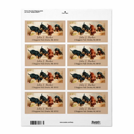  Dachshund Doxie Puppies Kunstlabel Etiket (Full Sheet)
