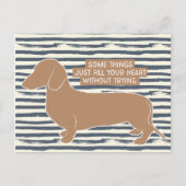 Dachshund Doxie Teckel Lover Illustratie Citaat Briefkaart (Voorkant)