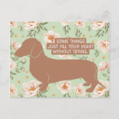 Dachshund Doxie Teckel Lover Illustratie Citaat Briefkaart (Voorkant)