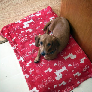 Dachshund Doxie Valentijnsdag Harten Deken
