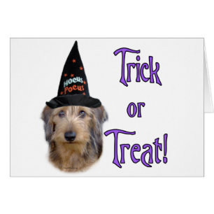 Dachshund (draad) Trick