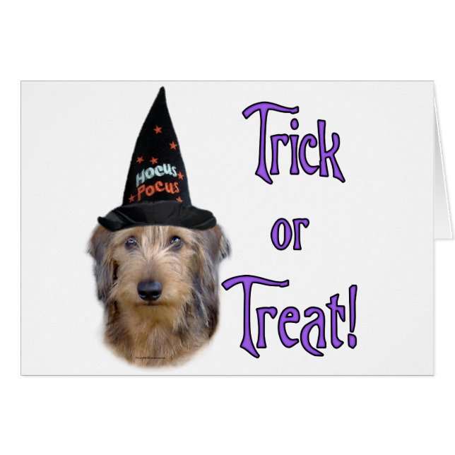 Dachshund (draad) Trick (Voorkant Horizontaal)