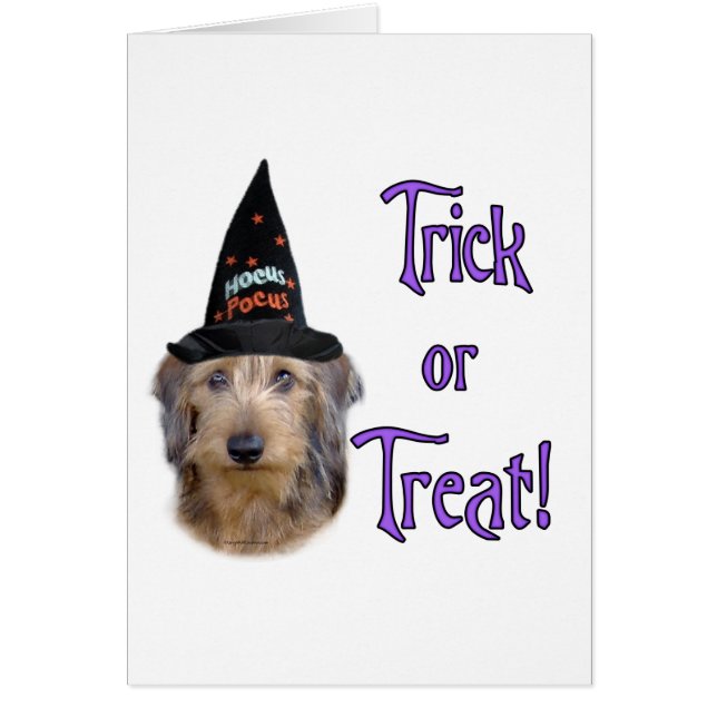 Dachshund (draad) Trick (Voorkant)