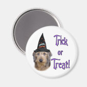 Dachshund (draad) Trick Magneet (Voorkant / Achterkant)
