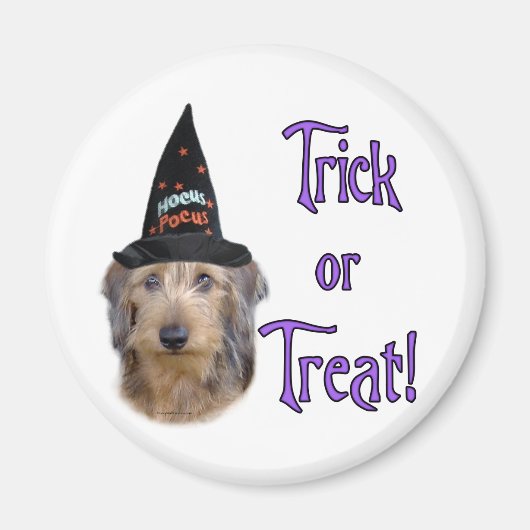 Dachshund (draad) Trick Magneet (Voorkant)