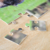 dachshund draadharig vol legpuzzel (Zijkant)