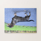 dachshund draadharig vol legpuzzel (Horizontaal)
