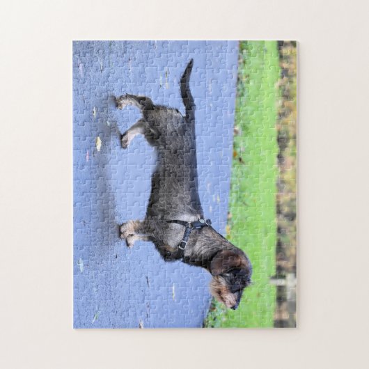 dachshund draadharig vol legpuzzel (Verticaal)