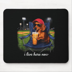 Dachshund drinkt ijskoffie honkbalveld live muismat