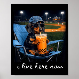 Dachshund drinkt ijskoffie op het honkbalveld live poster