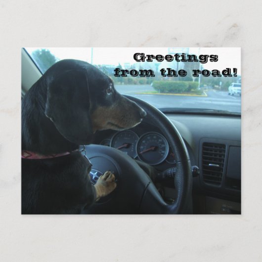 Dachshund-Driven Postcard Briefkaart (Voorkant)