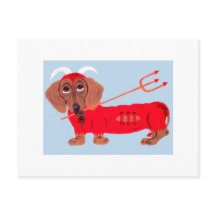 Dachshund Duivel