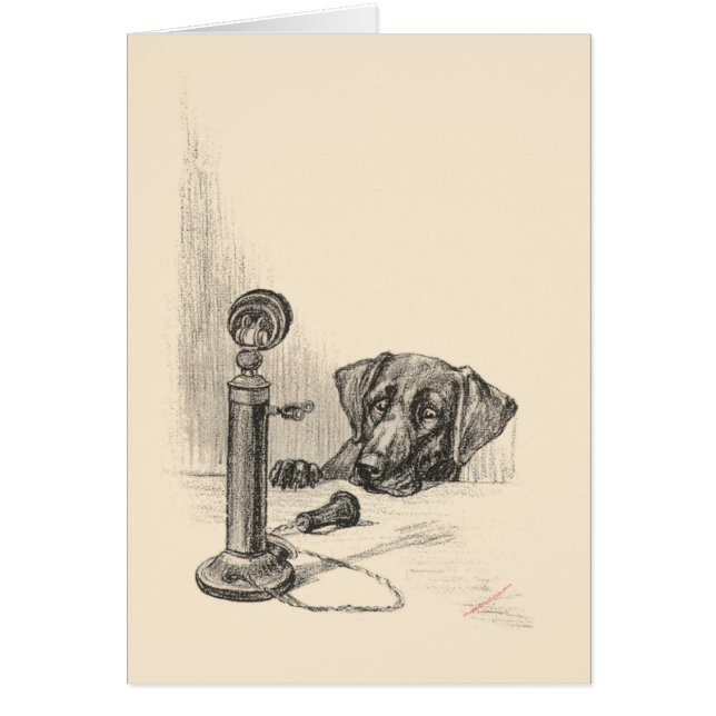 Dachshund en antieke telefoon (Voorkant)