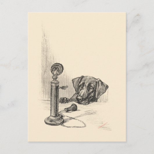 Dachshund en antieke telefoon briefkaart (Voorkant)