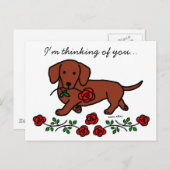 Dachshund en cartoon briefkaart (Voorkant / Achterkant)
