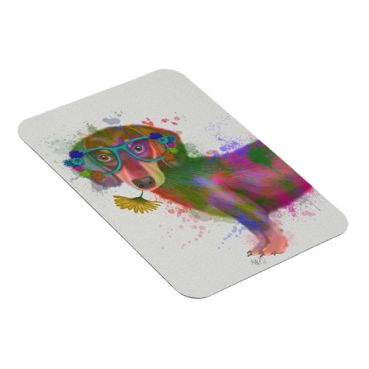 Dachshund en Glasses Rainbow Splash Magneet (Rechterzijde)