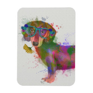 Dachshund en Glasses Rainbow Splash Magneet