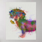 Dachshund en Glasses Rainbow Splash Poster (Voorkant)