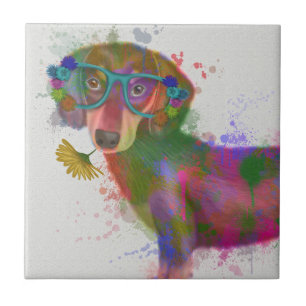 Dachshund en Glasses Rainbow Splash Tegeltje
