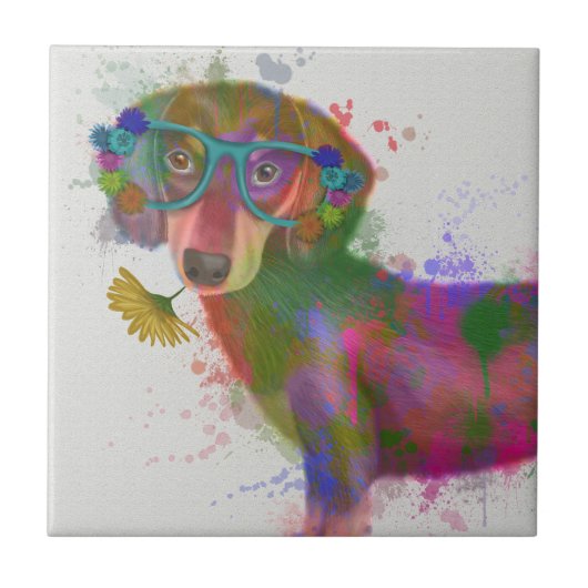 Dachshund en Glasses Rainbow Splash Tegeltje (Voorkant)