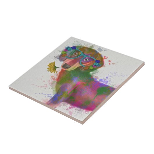 Dachshund en Glasses Rainbow Splash Tegeltje (Zijkant)