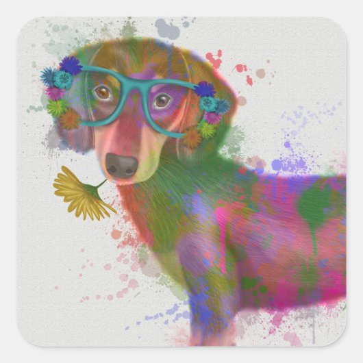 Dachshund en Glasses Rainbow Splash Vierkante Sticker (Voorkant)