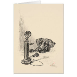 Dachshund en telefoon