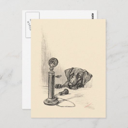 Dachshund en  telefoon briefkaart (Voorkant / Achterkant)