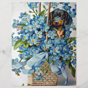 Dachshund en Vergeet-me-Nots