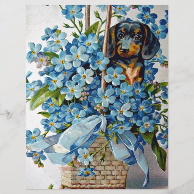 Dachshund en Vergeet-me-Nots (Voorkant)