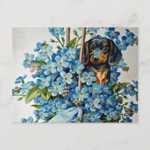 Dachshund en Vergeet-me-Nots Briefkaart