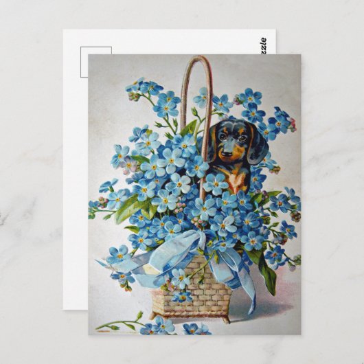Dachshund en Vergeet-me-Nots Briefkaart (Voorkant / Achterkant)