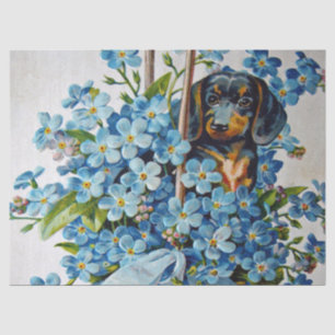 Dachshund en Vergeet-me-Nots Tissuepapier
