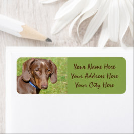 Dachshund Etiket