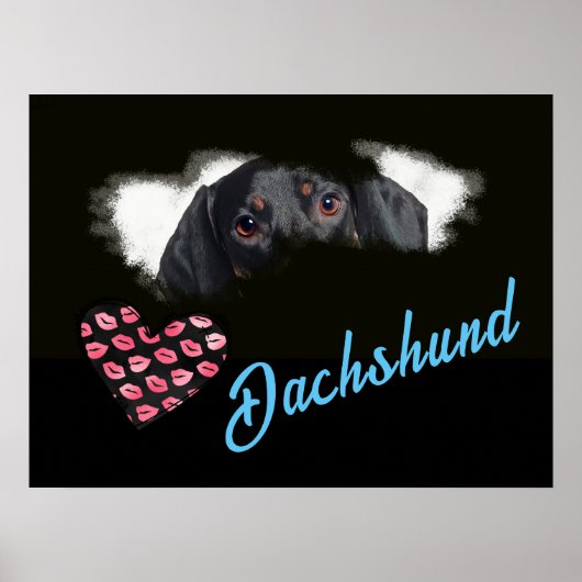 Dachshund Eyes Solid Color Poster (Voorkant)