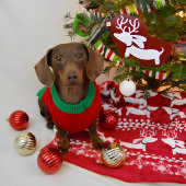 Dachshund Fair Isle Lelijke Kerst Sweater Deken