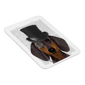 Dachshund, Formele hond en Pet Magneet (Rechterzijde)