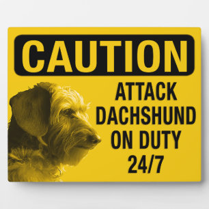 Dachshund Fotoplaat