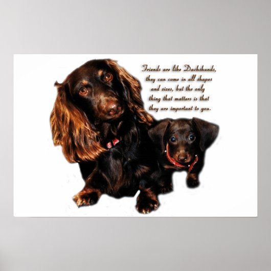 Dachshund Friendship Poster (Voorkant)