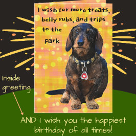 Dachshund Fun, met wirespijtharen, flinterd, vroli Kaart