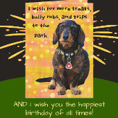 Dachshund Fun, met wirespijtharen, flinterd, vroli Kaart