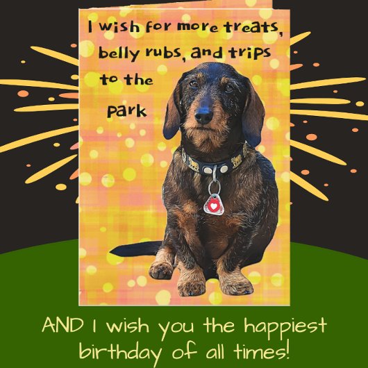 Dachshund Fun, met wirespijtharen, flinterd, vroli Kaart