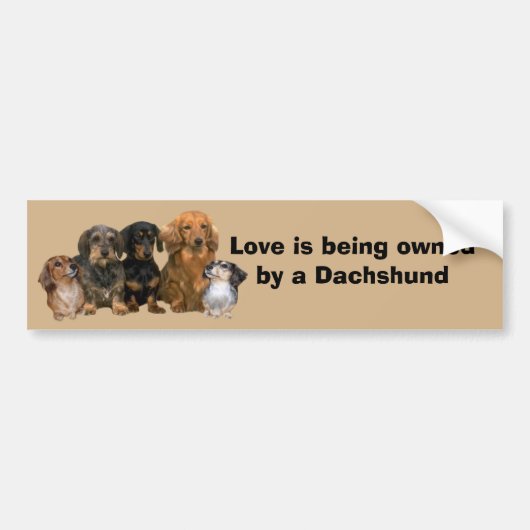 Dachshund Gang Bumpersticker (Voorkant)